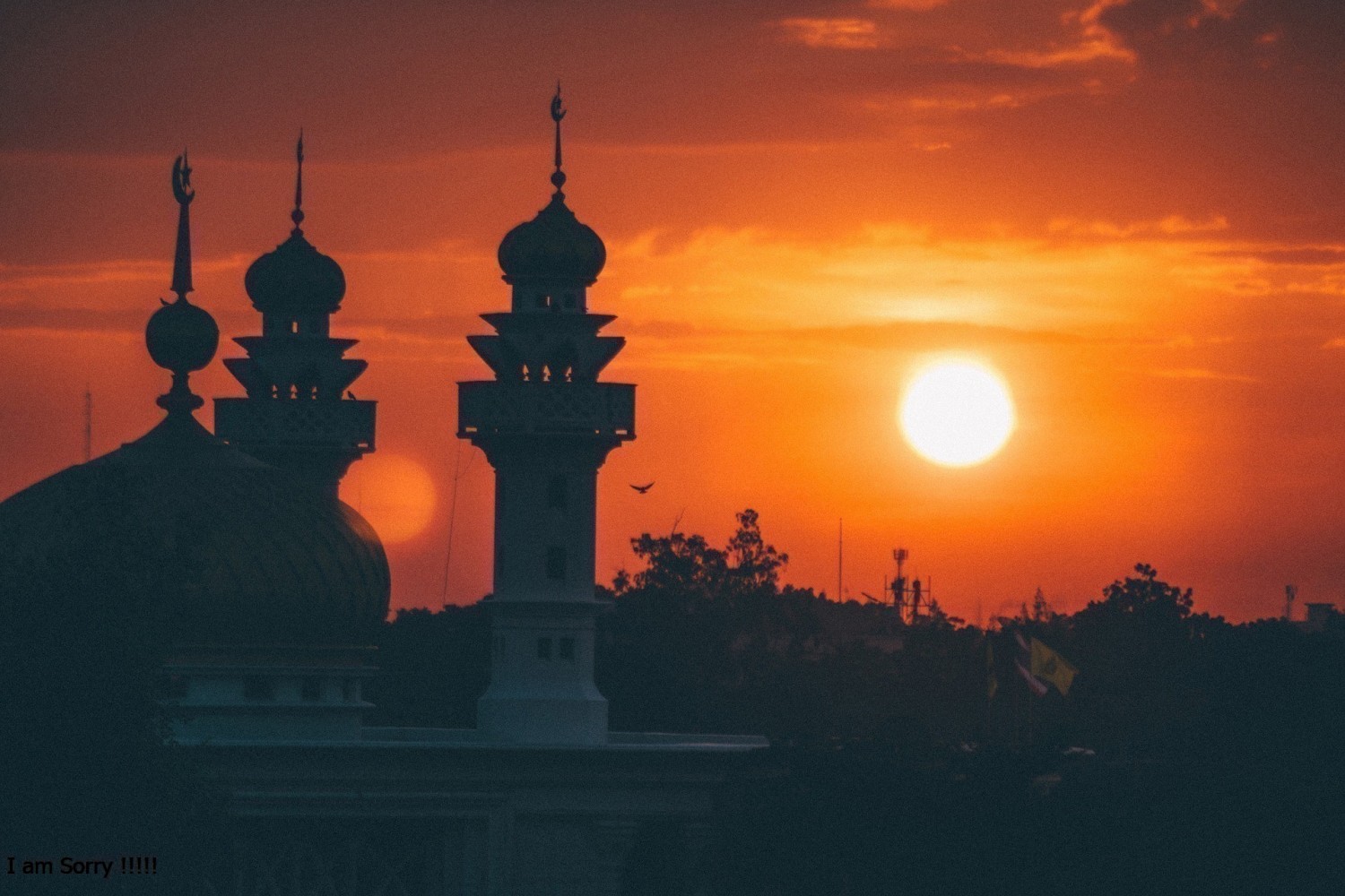 Concept of God in Islam